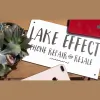 Lake Effect Phone Repair