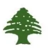 Cedars Of Lebanon Apartments