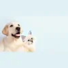 Olson Animal Hospital