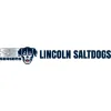 Lincoln Saltdogs