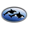 Delta Marine Service