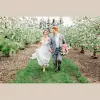 Mitten Weddings and Events