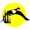 Idaho Screen Print