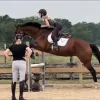 Victory Stables