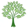 Evergreen Natural Healing Acupuncture