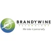 Brandywine Technology