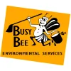 Busy Bee