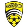 Maestro Soccer