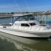 Freespirit 2 Charters