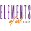 Elements of Art Hair Gallery