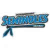 Schaumburg Seminoles