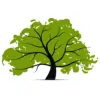 Lone Oak