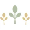 Springwater Wealth Management