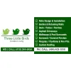 Three Little Birds