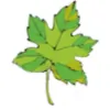 California Community Credit Union