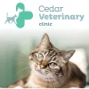 Cedar Veterinary Clinic