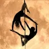 Aerial Angels Pole Fitness