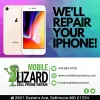 Mobile Lizard
