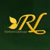 Rainforest Landscape