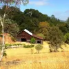 Capo Creek Winery