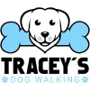 Traceys Dog Walking