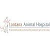 Lantana Animal Hospital
