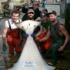 North Country Charters