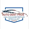 Auto Dent Pros