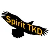 Spirit Taekwondo
