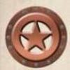 Copper Star Professional Transportation