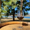 Tierra de Lobos Winery