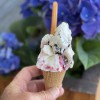 SF Gelateria