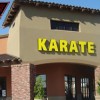 Sandoval Freestyle Karate