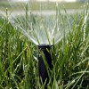 CMD Irrigation