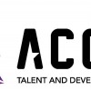 Accel Talent Group
