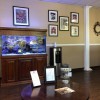 Dr. Pendleberry Acupuncture