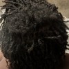 Deeply Rooted