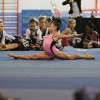 AAGI Gymnastics