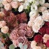 Hanadai Florist