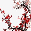 Mary Woods Acupuncture