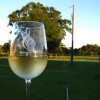 Whistling Duck Winery