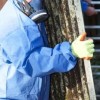 Complete Abatement Services