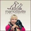 Marriottsville Animal Hospital