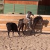 Rising K Ranch