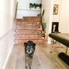 Chiropractic Office of Dr. Kristie Fong