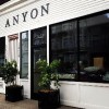 Anyon Design