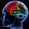 Integrative Neuropsychiatric Services of New York