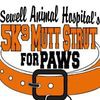 Sewell Animal Hospital
