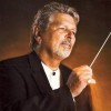 Signature Symphony at TCC
