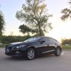 Austin Tint